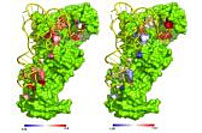 UCSB scientists get glimpse of how the 'code' of life may have emerged