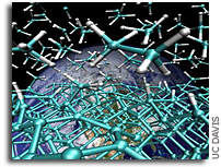 Hydrocarbons in the deep Earth