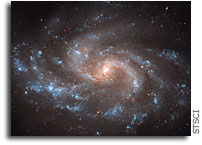 Hubble Space Telescope Rules Out One Alternative to Dark Energy