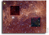 Hunting for the Milky Way's Heaviest Stars