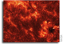 NASA Image: Spicules: Jets on the Sun