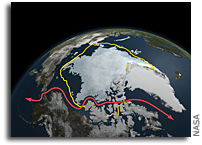 Arctic Sea Ice Continues Decline, Hits Second-Lowest Level