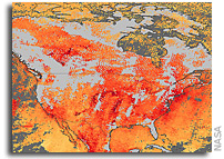 Carbon Monoxide Pollution over the United States and Canada
