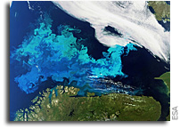Photo: Algal Bloom In The Barents Sea As Seen From Space