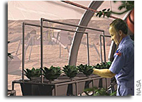 Filling the pantry for the first voyages to the Red Planet