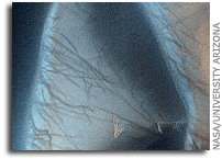 NASA MRO HiRISE Image of Mars: Spectacular Richardson Crater Dunes
