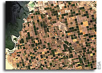 Earth from Space: Irrigated Desert