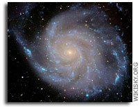 No Direct Link Between Black Holes & Dark Matter