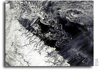 Photo: Earth from Space: Iceberg Alley