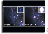 Astronomers Hunt Signal of Impending Doom