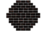 Dark Energy Survey to Probe Cosmic Speed-up