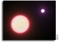 A very cool pair of brown dwarfs