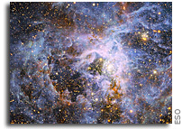 VLT Finds a Brilliant But Solitary Superstar