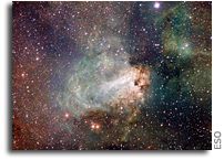 Massive Stars Are Born as Giants
