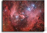 An angry bird in the sky - New ESO image of the Lambda Centauri Nebula