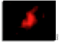 Discovery of A Vigorous Star-Forming Galaxy at Cosmic Dawn