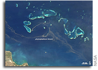 Photo: Phytoplanton Bloom in the Great Barrier Reef As Seen From Space