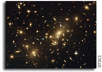Large Galaxies Stopped Growing 7 Billion Years Ago