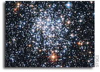 How Single Stars Lost Their Companions