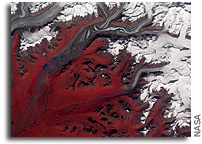 Photo: Alaska's Susitna Glacier As Seen Fron Orbit