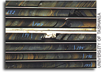 Evidence for Iron-Rich Ancient Ocean Changes View of Earth's Early History