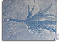 Image: Okavango Swamp in Botswana, Africa As Seen From Orbit