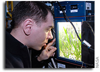 Photo: Growing Plants on The International Space Station