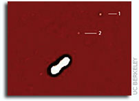 How Kleopatra Got Its Moons