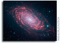 Spitzer Captures Infrared Rays From a Sunflower