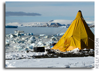 Paleontologists Return From Antarctic Expedition With About 200 Fossils