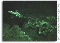 More deep-sea vents discovered