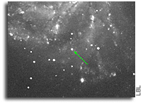 Berkeley Scientists Discover an 'Instant Cosmic Classic' Supernova