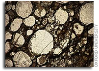 Rock Rafts Could be 'Cradle of Life'