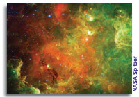 New View of Family Life in the North America Nebula