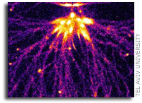 Lightning Sprites Are Out-of-This-World