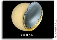 'Big Splat' May Explain Moon's Mountainous Far Side 