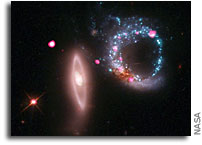 Giant Ring of Black Holes