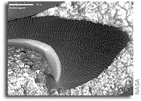NASA MRO Detects Large Changes in Martian Sand Dunes