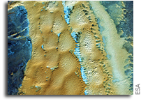 Image: Algerian Sands As Seen From Space