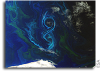 Image: Phytoplankton Bloom in the South Atlantic Ocean As Seen From Space