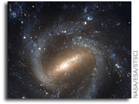 Classic Portrait of a Barred Spiral Galaxy: Hubble Observes NGC 1073