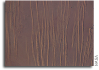 Image: Linear Dunes in the Great Sand Sea in Southwest Egypt