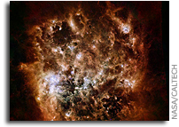 Image: Large Magellanic Cloud Galaxy In Infrared Light