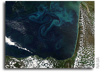 Springtime in the Bay of Biscay