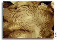 North Polar Ice Cap of Mars