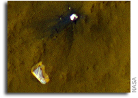 Used Parachute Flaps in the Martian Wind
