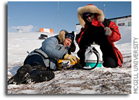 Bacterium from Canadian High Arctic and life on Mars