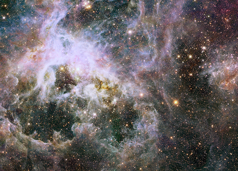 Unraveling the Web of the Tarantula Nebula - SpaceRef