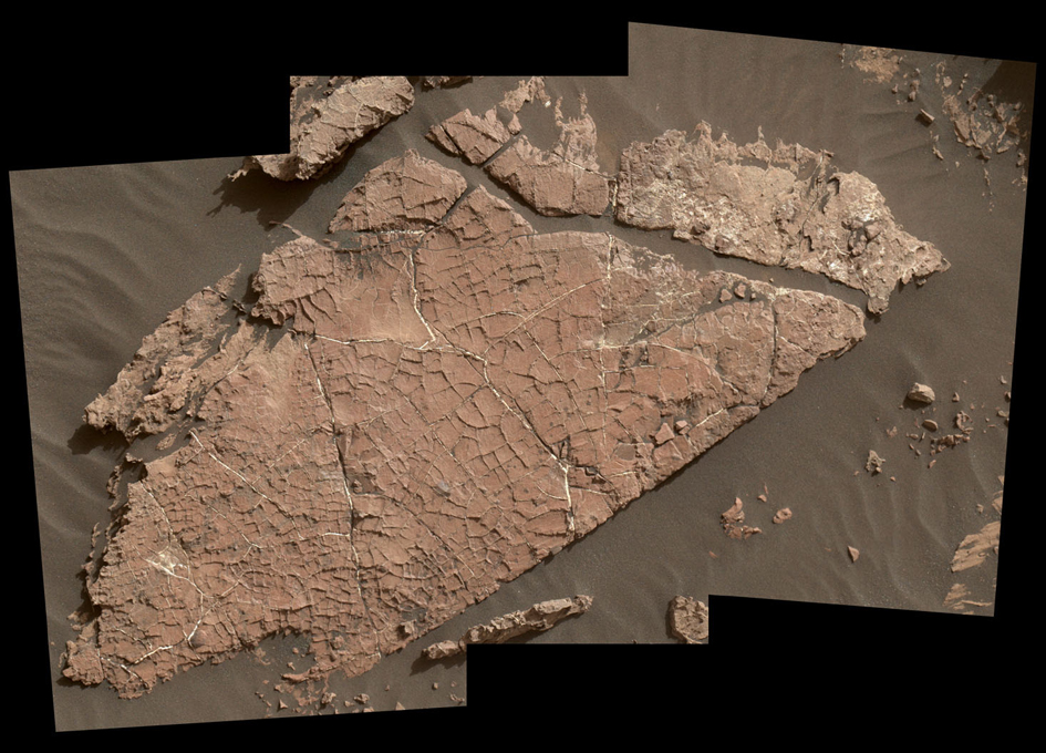 Curiosity Examines Possible Mud Cracks on Mars