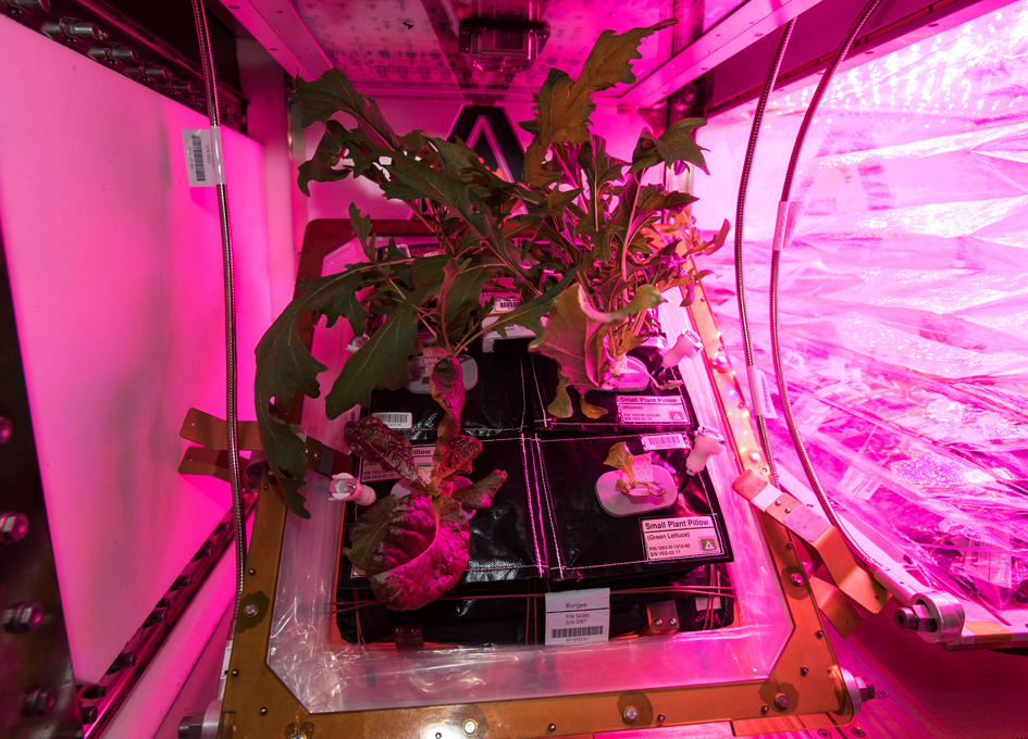 Two Veggie Units Are Operating Aboard The International Space Station